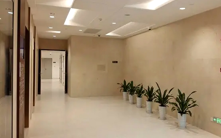 成品醫用鋼質門廠家排名第一的是